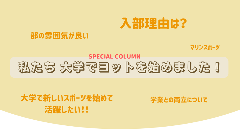 名称未設定のデザイン-Mar-16-2024-06-16-23-3115-PM